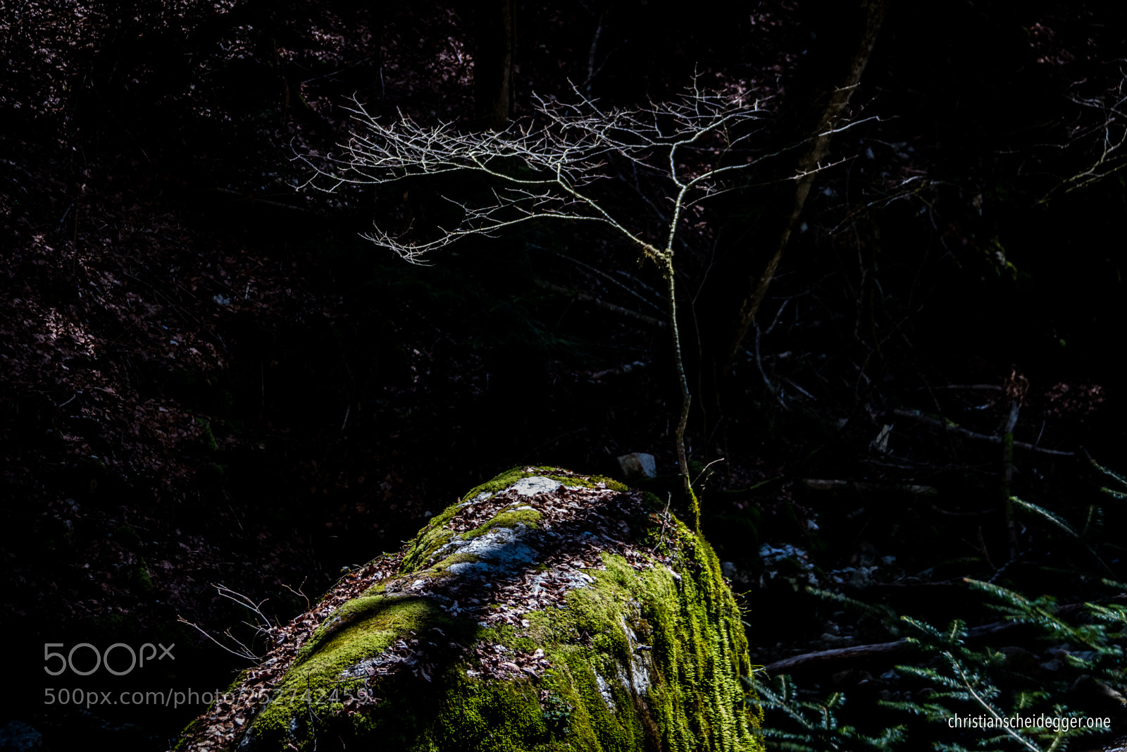 Canon EOS 70D sample photo. Down in the canyon photography