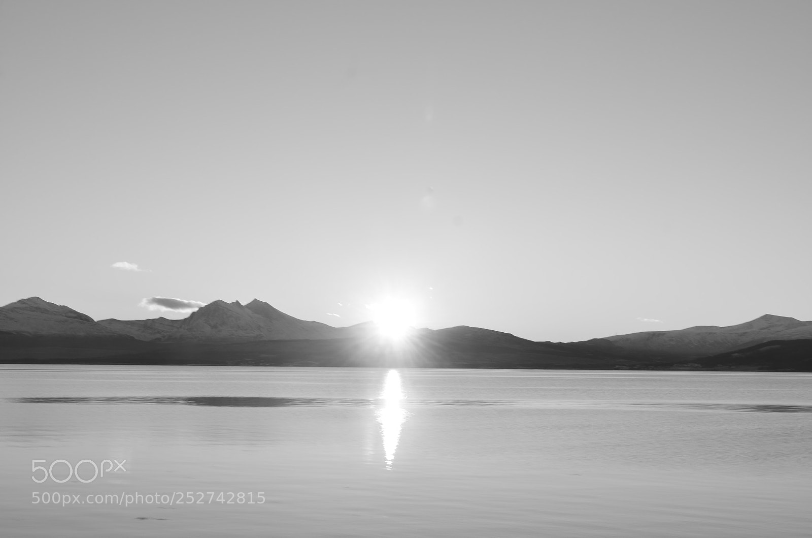 Nikon D5100 sample photo. When the sun sees photography