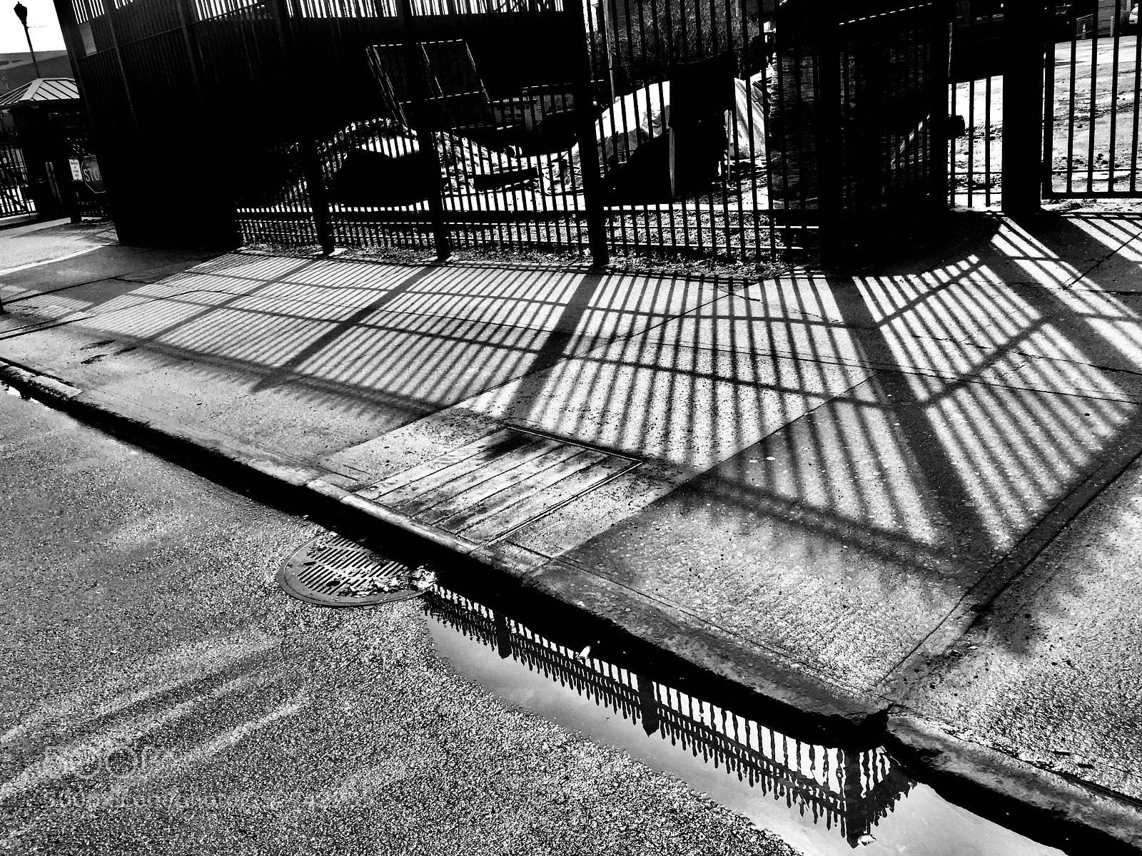 Apple iPhone 6 Plus sample photo. “fence, shadowed & reflected” photography