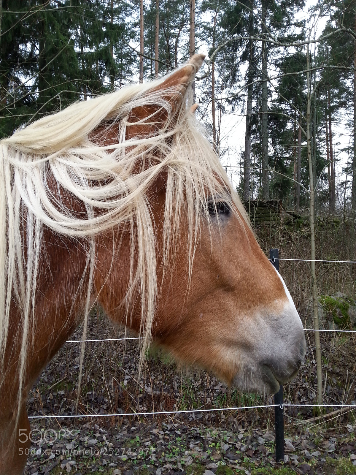 Samsung Galaxy S3 sample photo. 20141115_114811.jpg photography