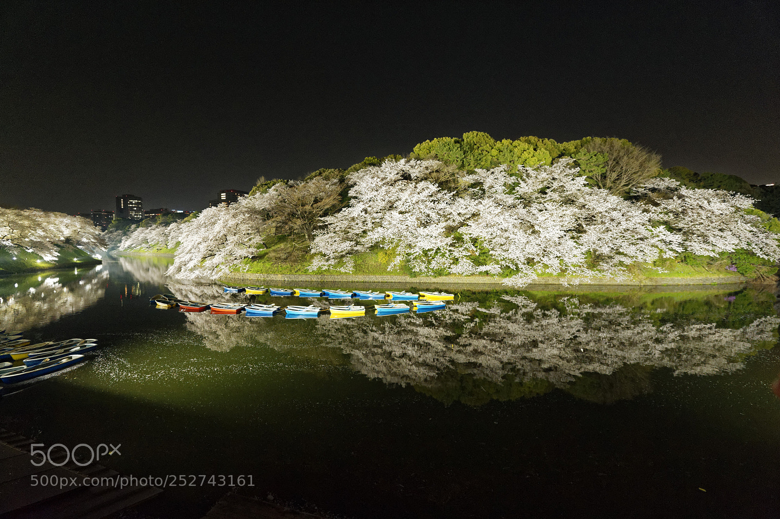 Nikon D3 sample photo. Chidorigafuchi photography