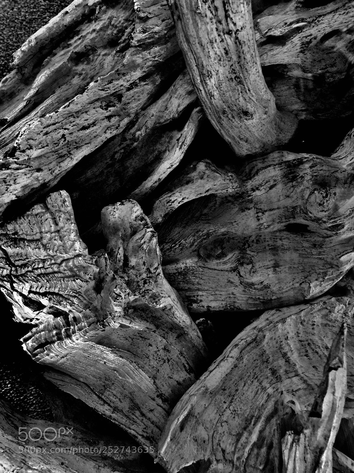Apple iPhone 6 Plus sample photo. “wood, interwoven” photography