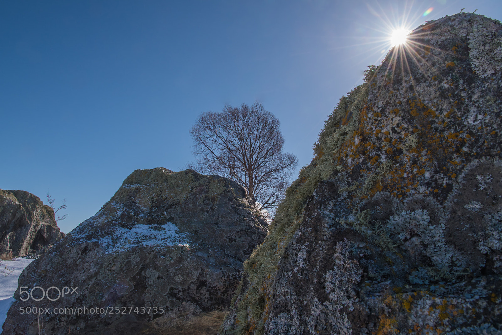 Nikon D7500 sample photo. A sunny sunday in photography