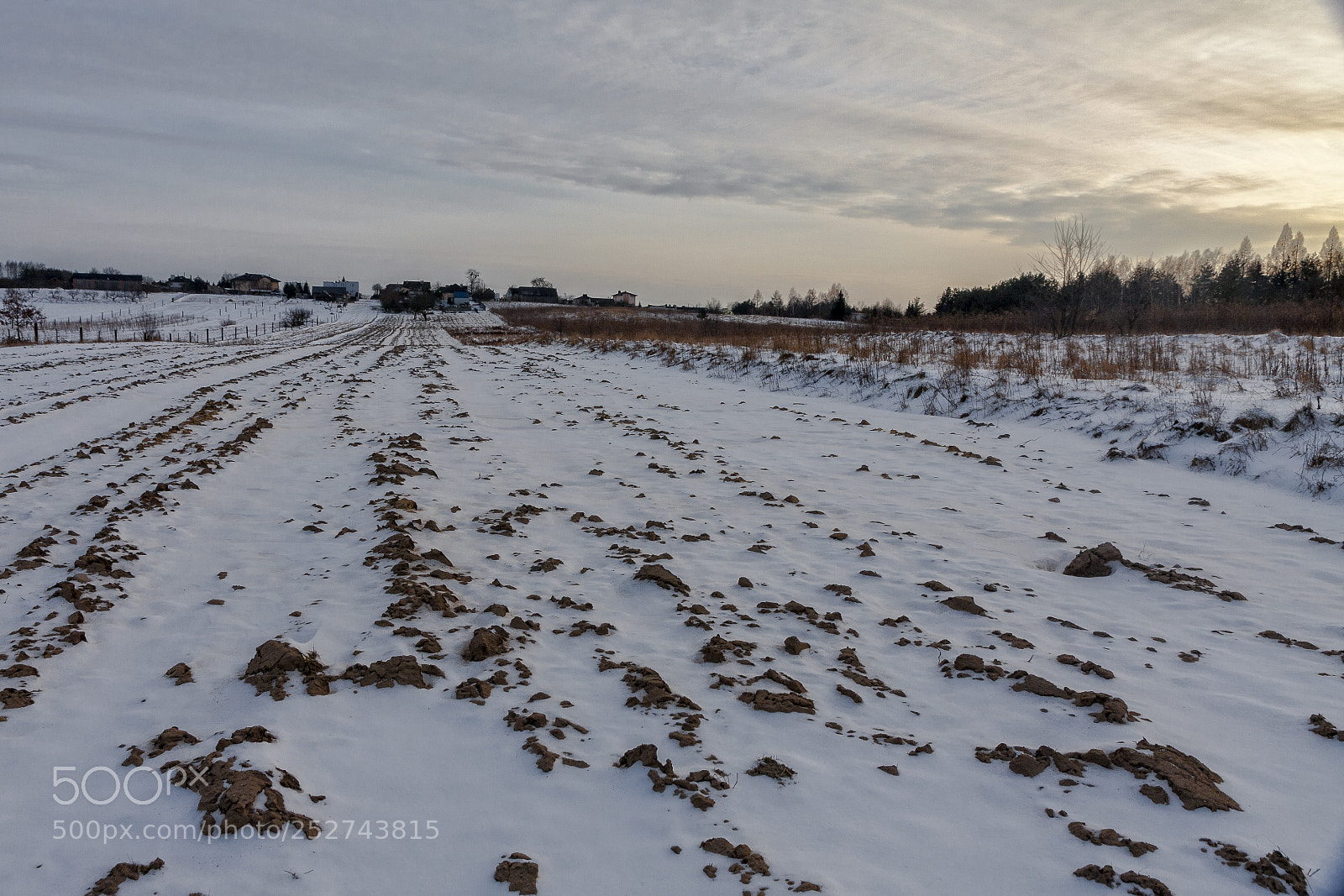 Canon EOS 40D sample photo. I'm coming home (3) photography