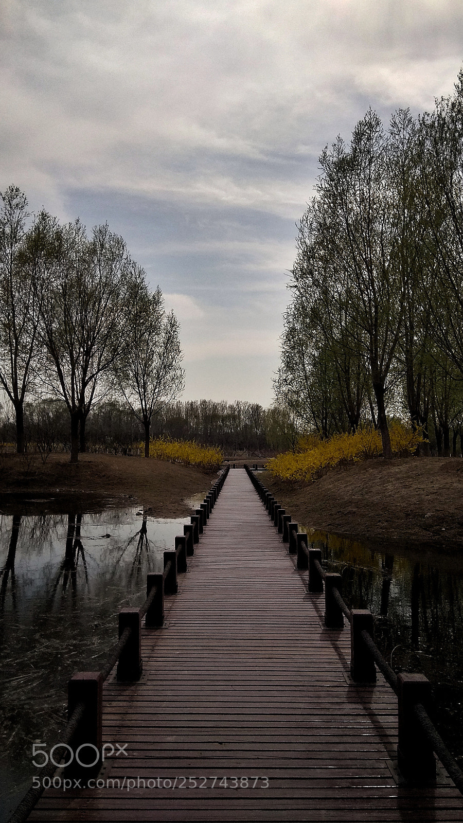 Xiaomi Redmi Note 4X sample photo. 19 photography