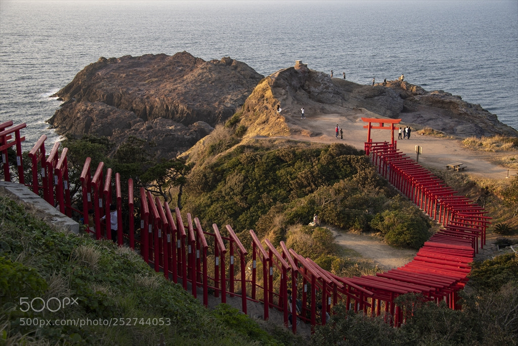 Nikon D5 sample photo. 元乃隅稲成神社：a shrine photography