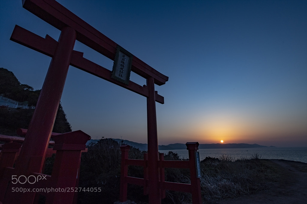Nikon D5 sample photo. 元乃隅稲成神社：a shrine photography
