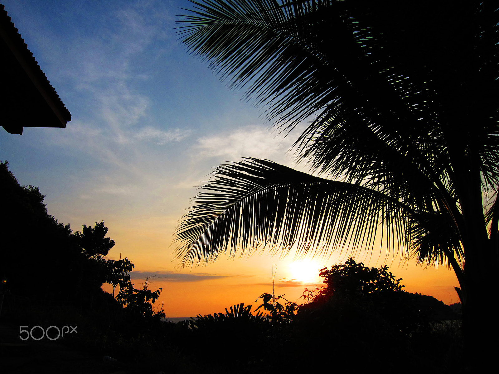 Canon PowerShot S95 sample photo. Taken in redang island, malaysia photography