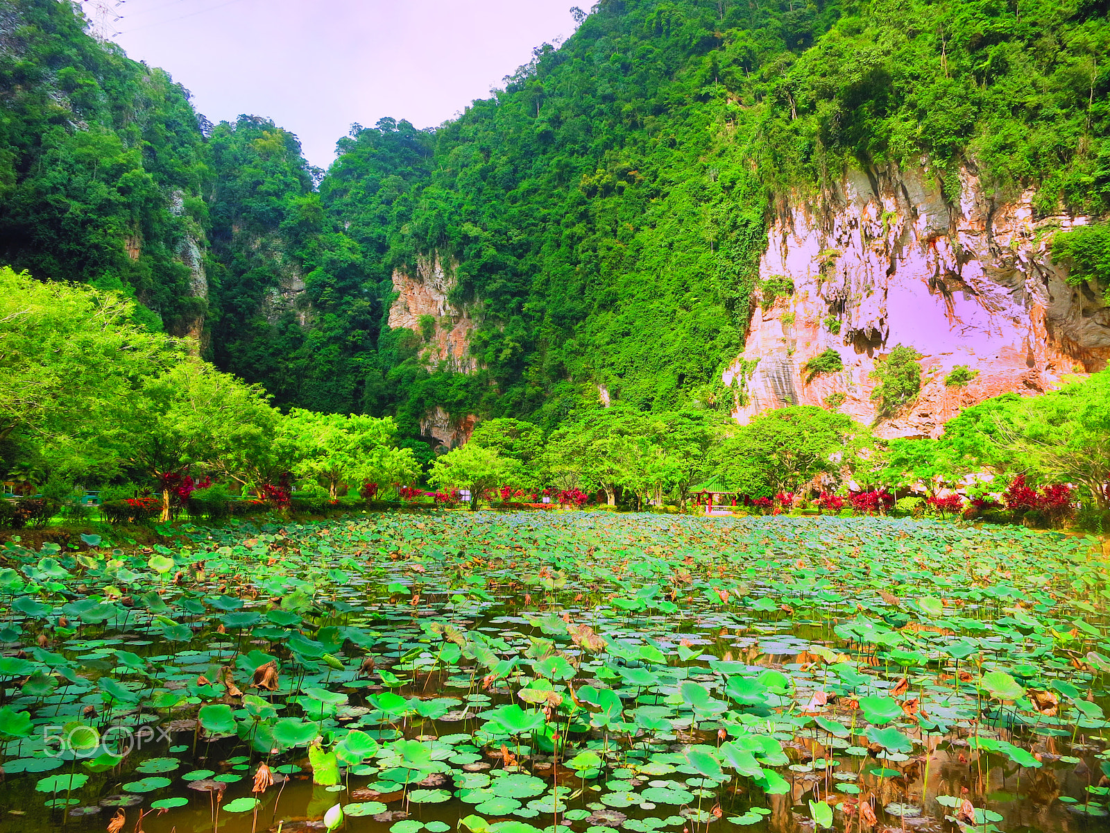 Canon PowerShot S110 sample photo. Taken in gua kek look tong, gunung rapat, ipoh, perak, malaysia photography