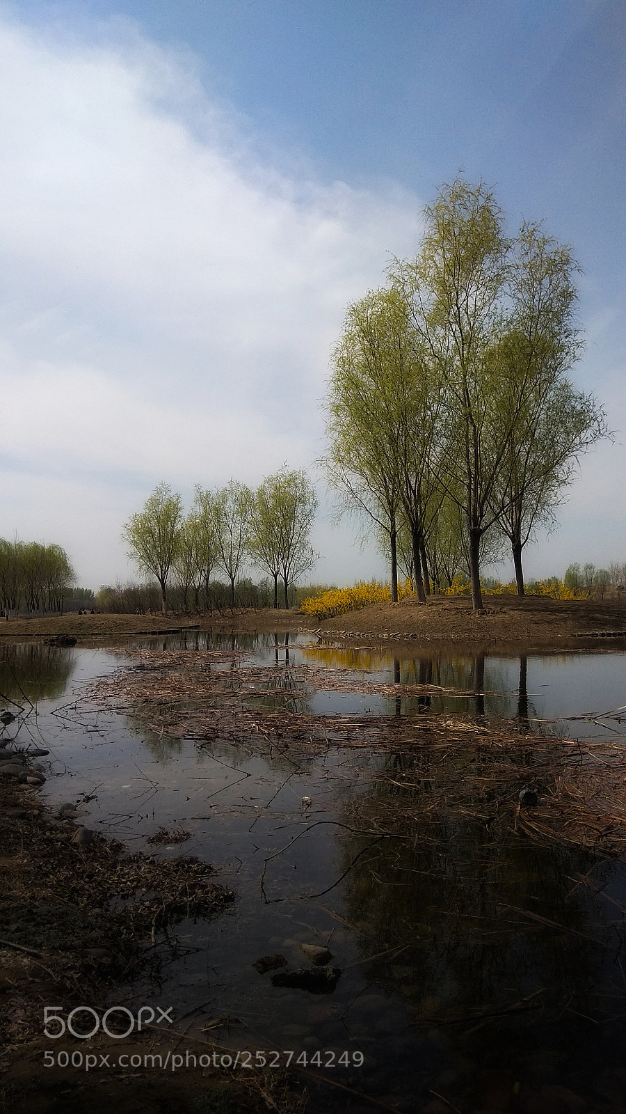 Xiaomi Redmi Note 4X sample photo. 20 photography