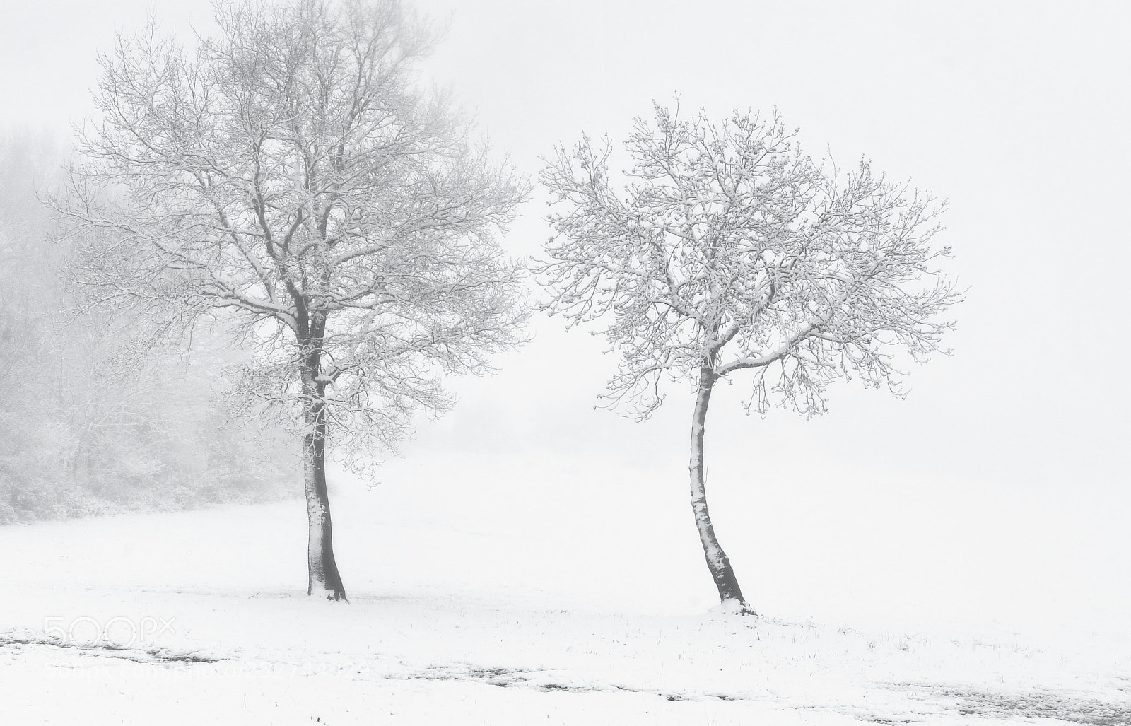 Nikon D3 sample photo. Abres frere neige photography