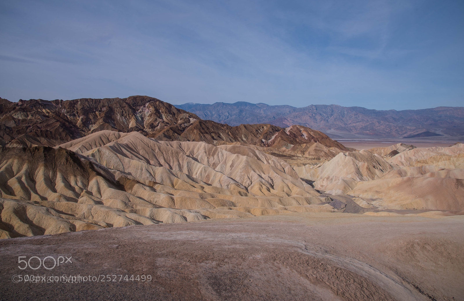 Nikon D800 sample photo. Desert colors photography