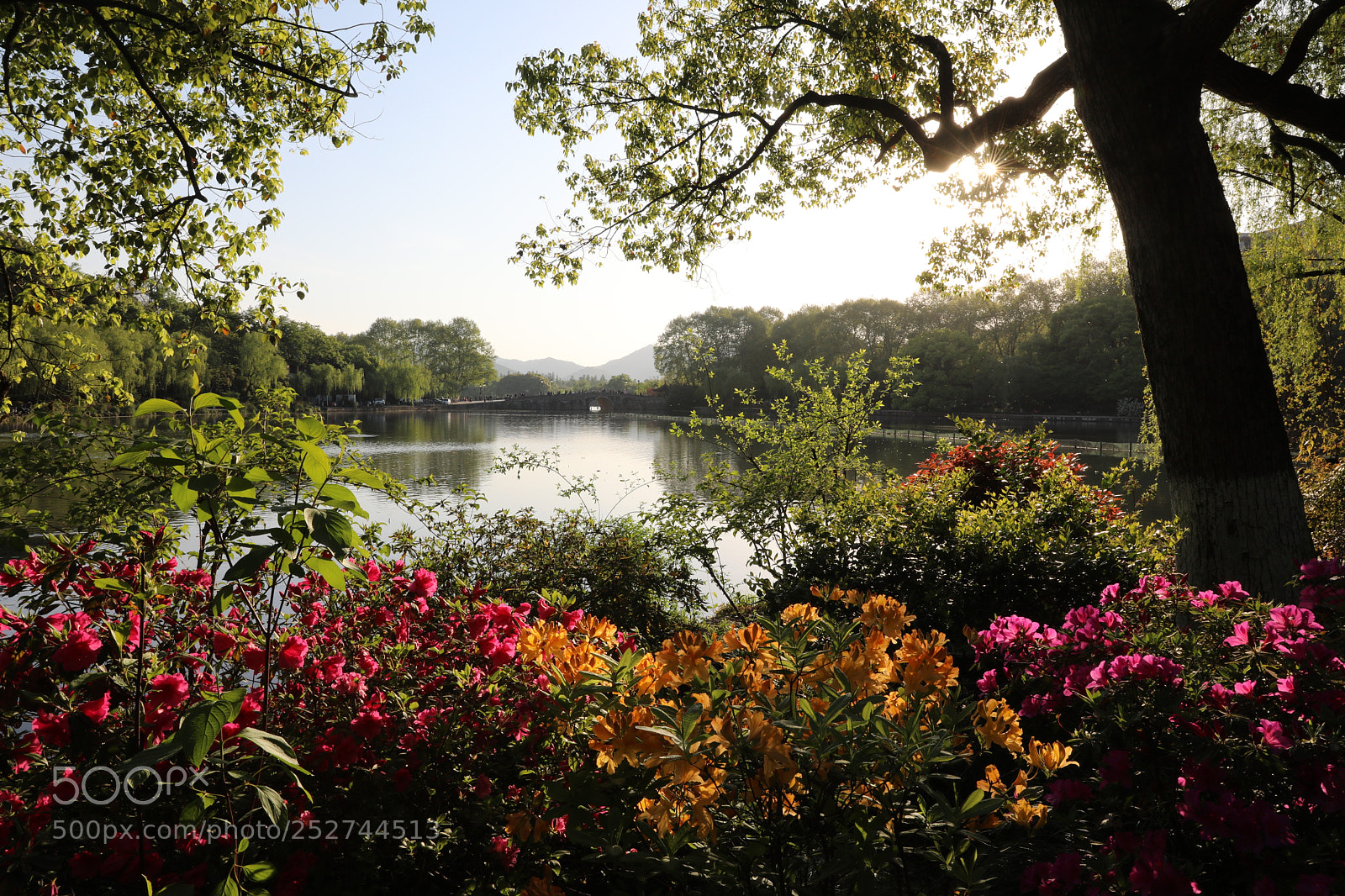 Canon EF 24-70mm F2.8L II USM sample photo. 里西湖 photography