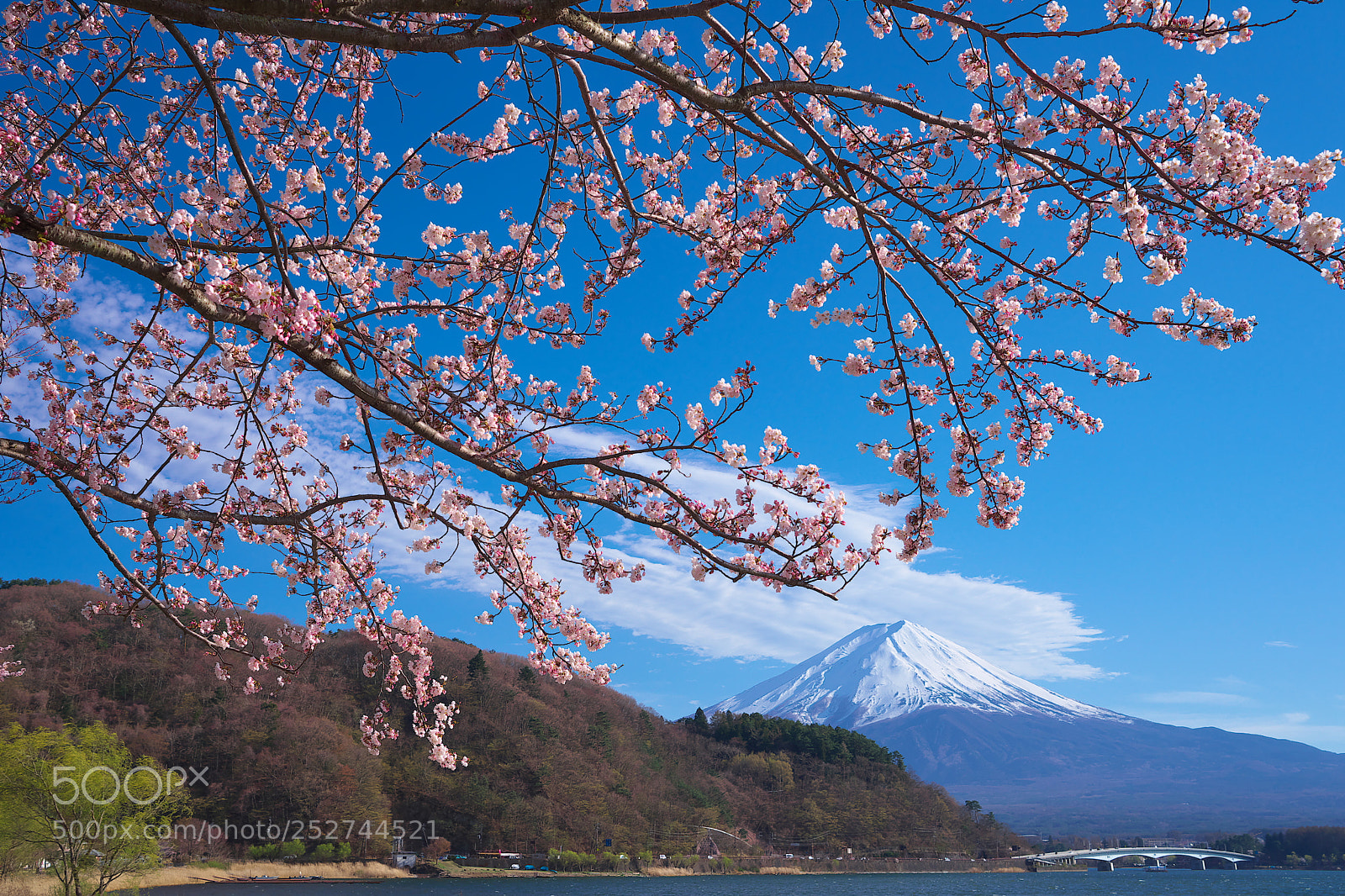 Sony a7 II sample photo. Spring fuji photography