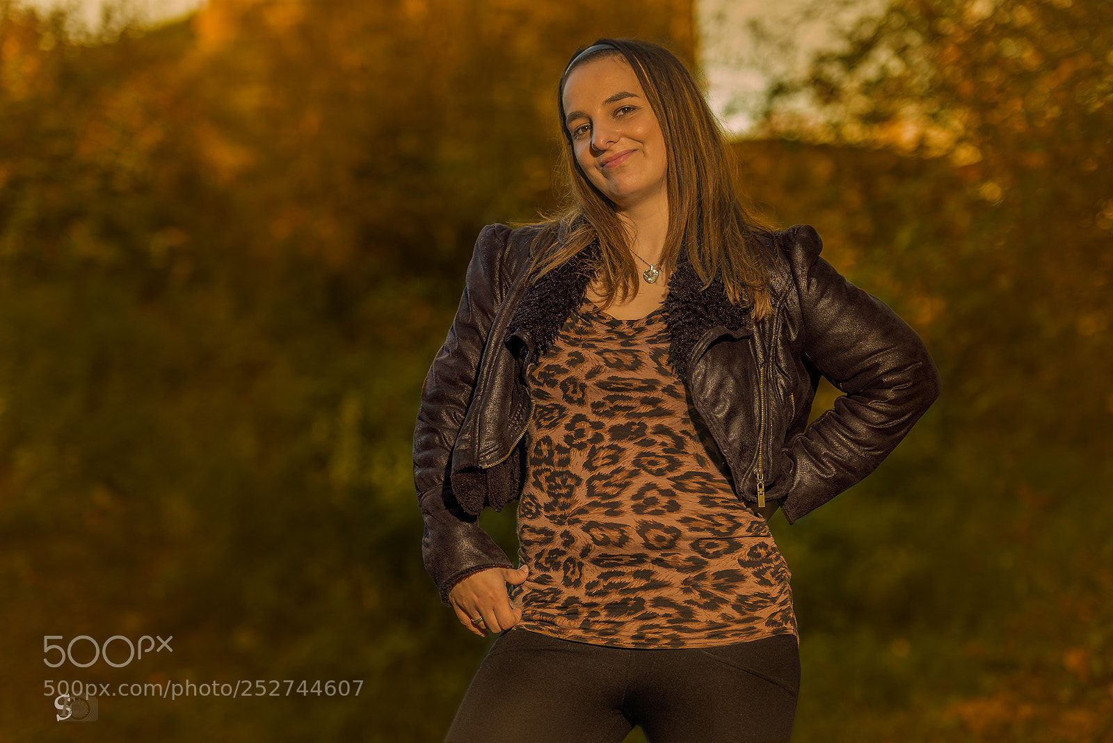 Nikon D800 sample photo. Herbstwunderwald photography