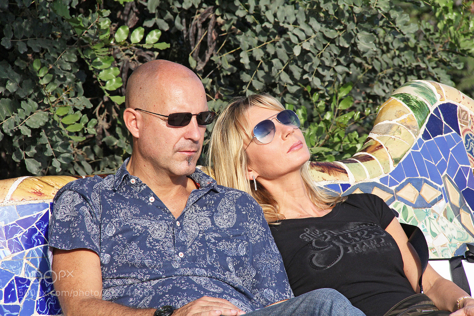 Canon EOS 60D sample photo. Taking in the sun photography