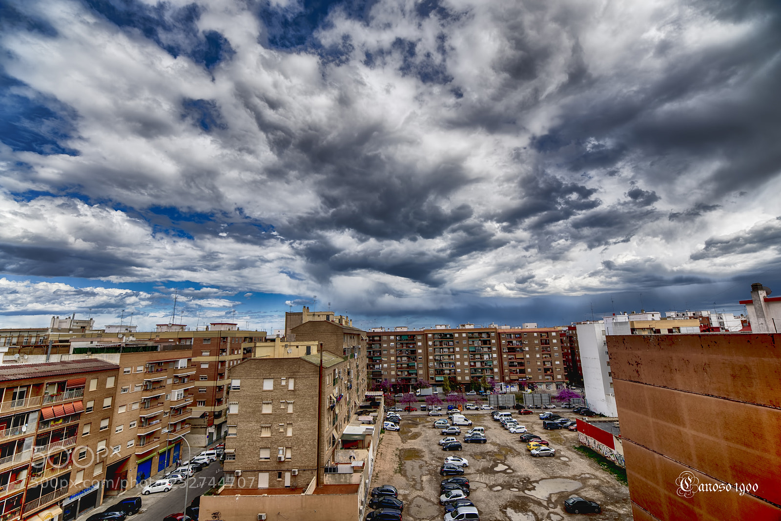 Nikon D810 sample photo. Primavera photography
