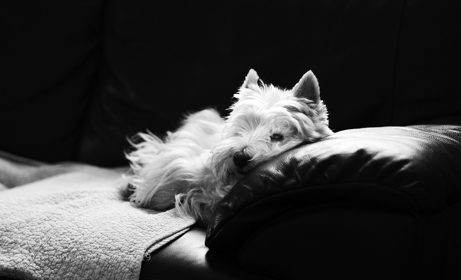 Fujifilm X-Pro2 sample photo. Oversight photography