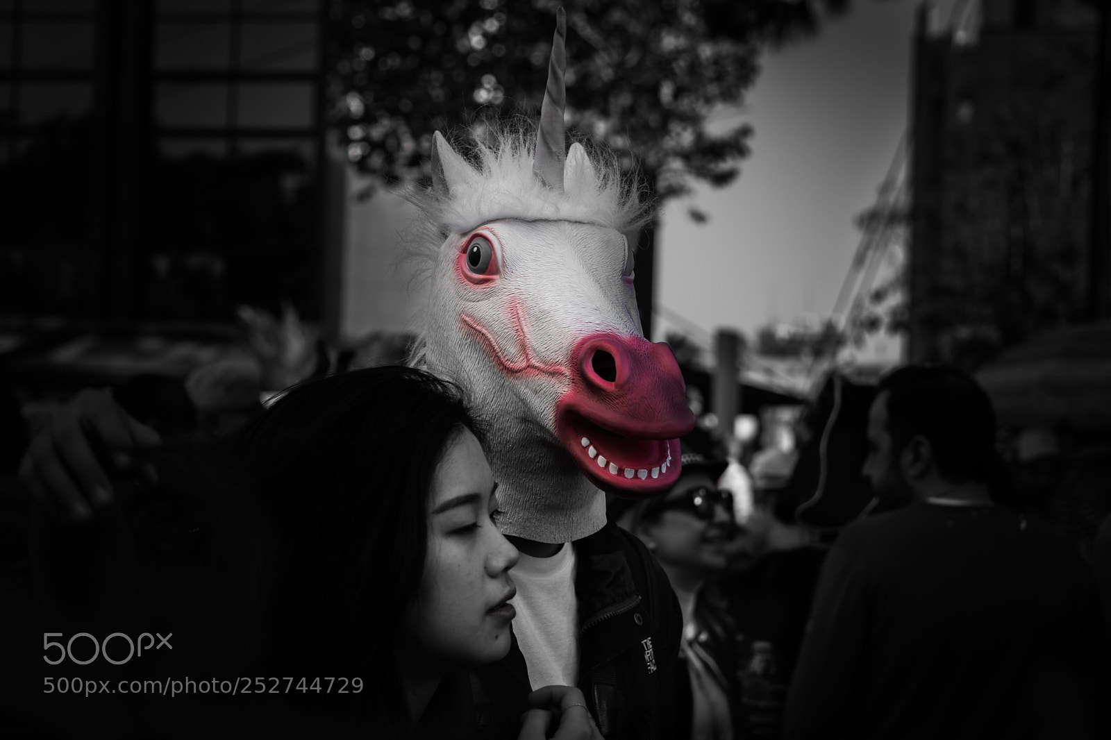 Nikon D500 sample photo. Unicorns exist!! photography