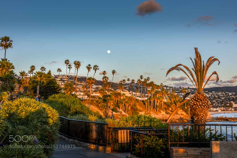 Nikon D810 sample photo. Moonrise!! photography