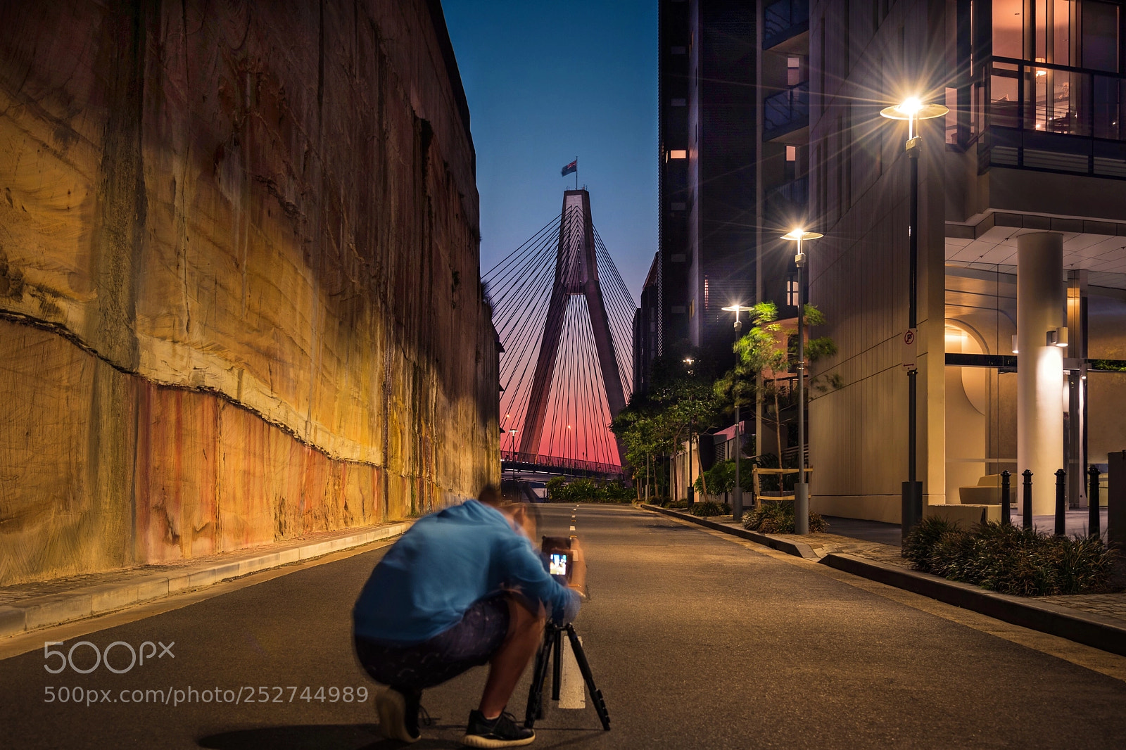 Nikon D850 sample photo. Anzac bridge photography