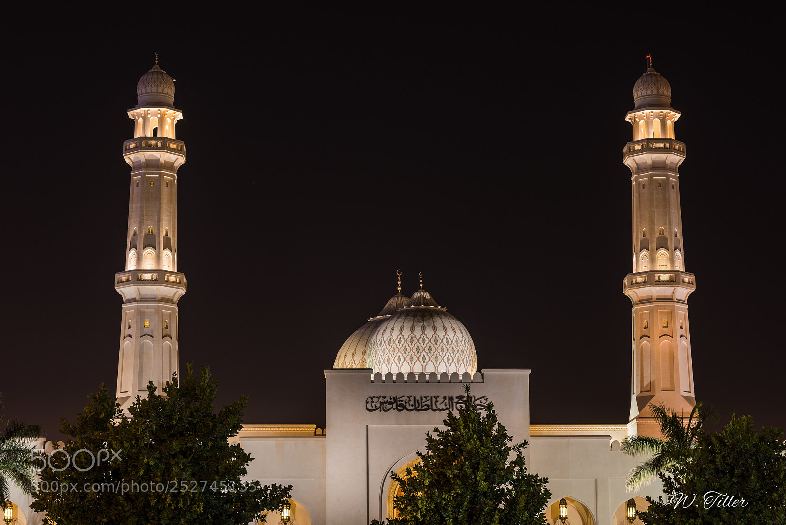 Nikon D810 sample photo. Sultan qaboos mosque photography
