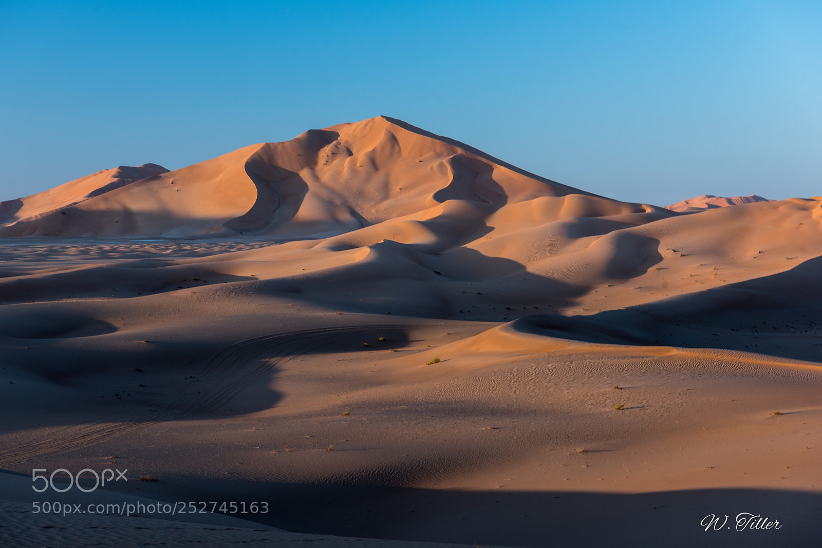 Nikon D810 sample photo. Rub al-kahli photography