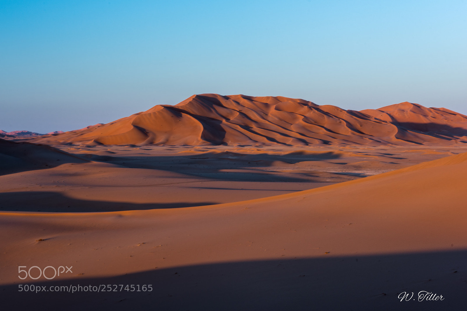 Nikon D810 sample photo. Rub al-kahli photography