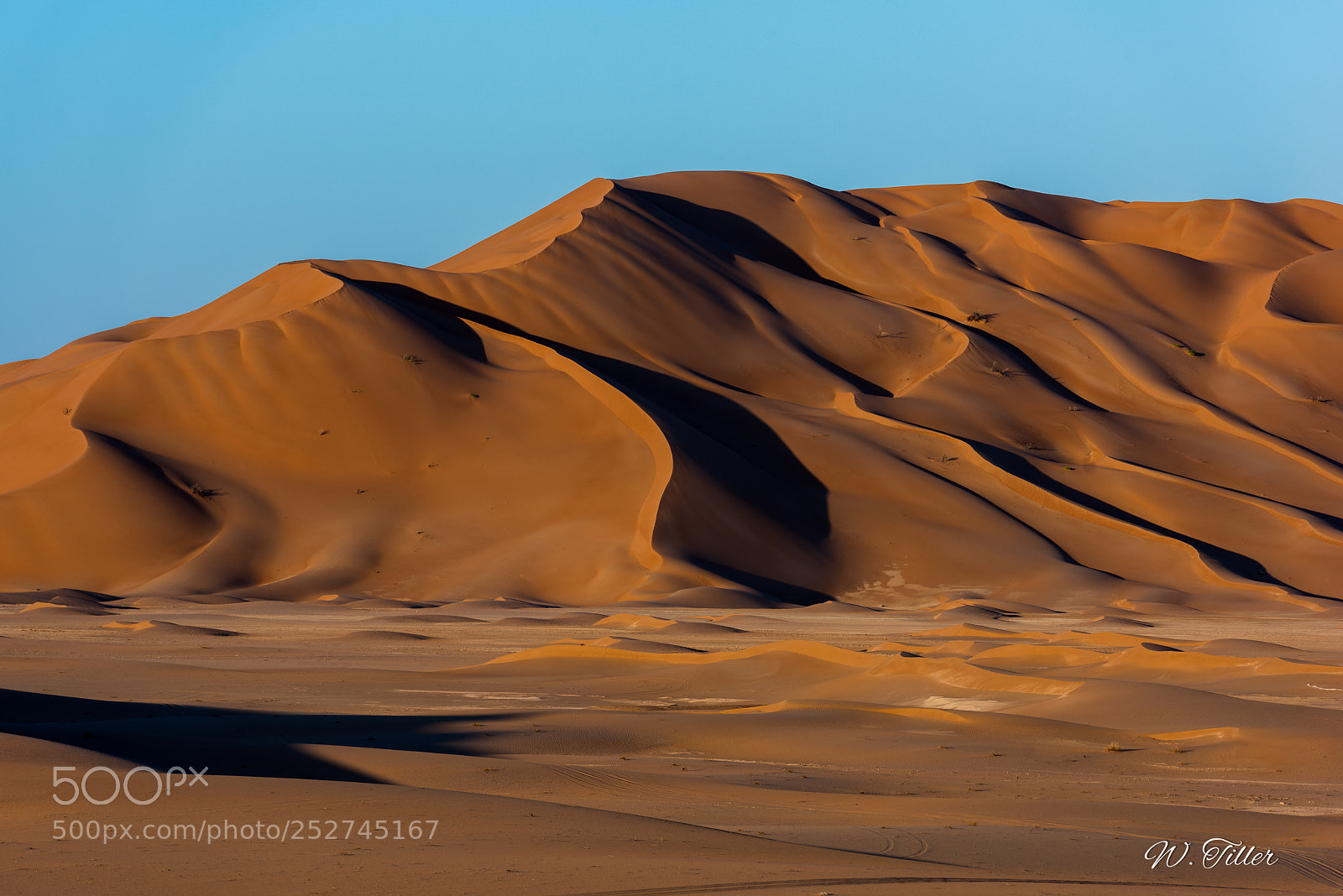 Nikon D810 sample photo. Rub al-kahli photography