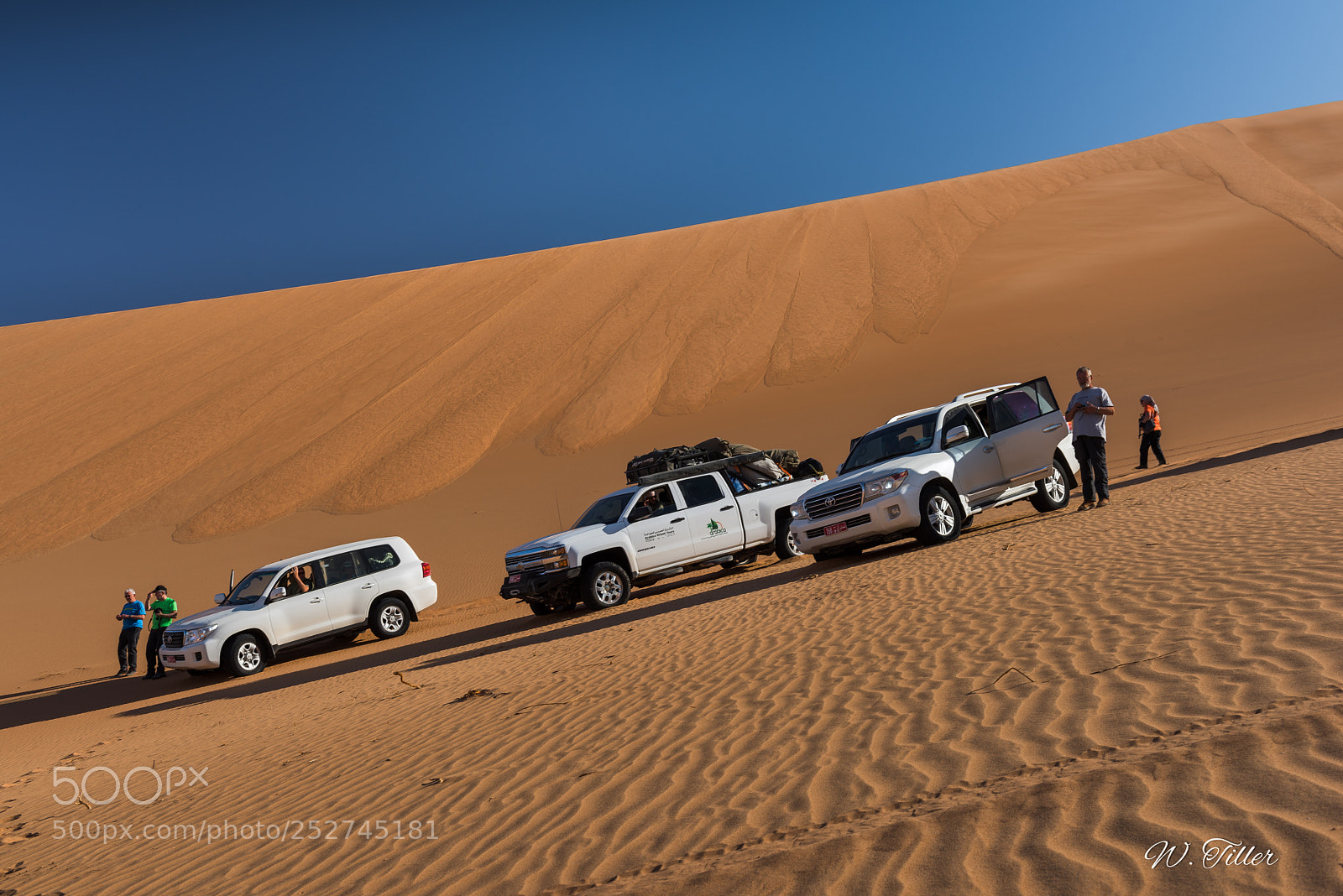 Nikon D810 sample photo. Rub al-kahli photography