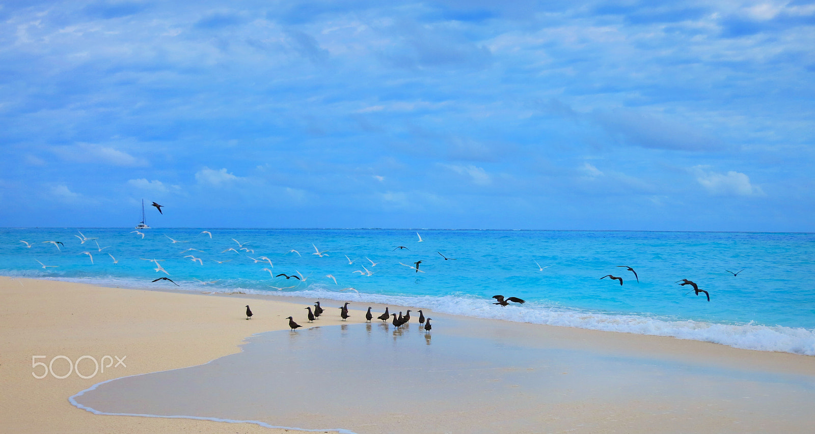 Canon PowerShot S110 sample photo. Taken in sand bank island, maldives photography