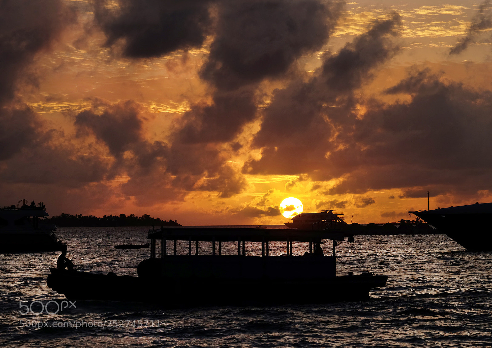 Fujifilm X-T1 sample photo. Dscf2048-1.jpg photography