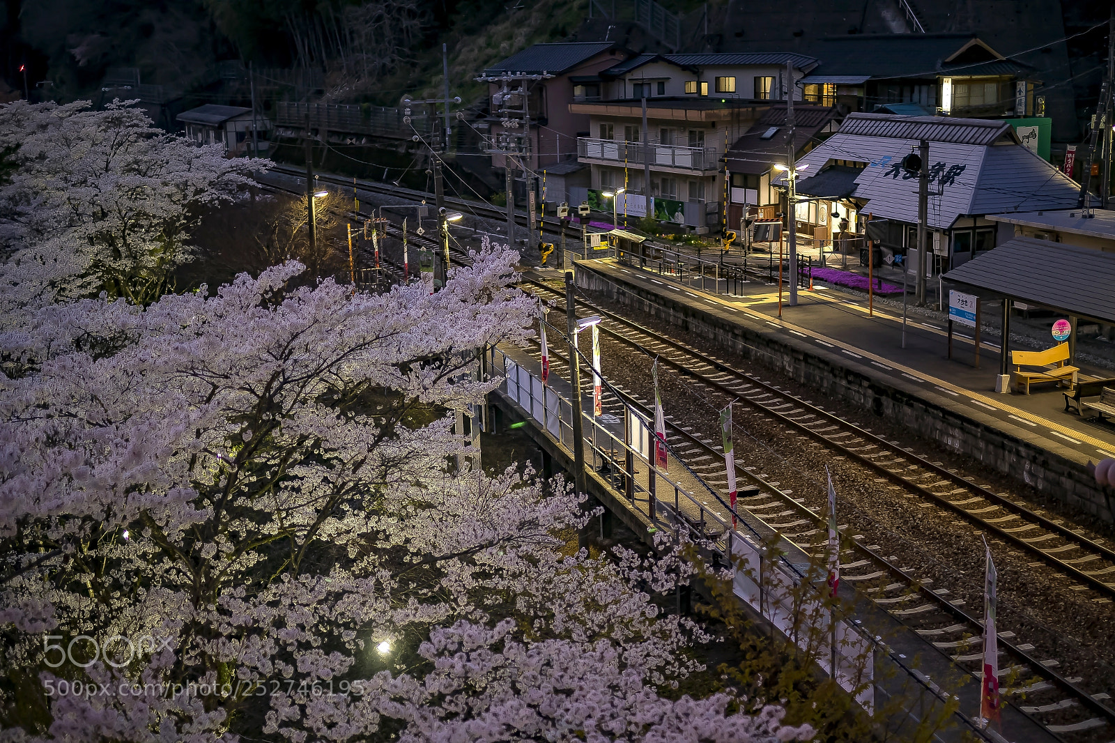 Sony a7 II sample photo. Very beautiful night will photography