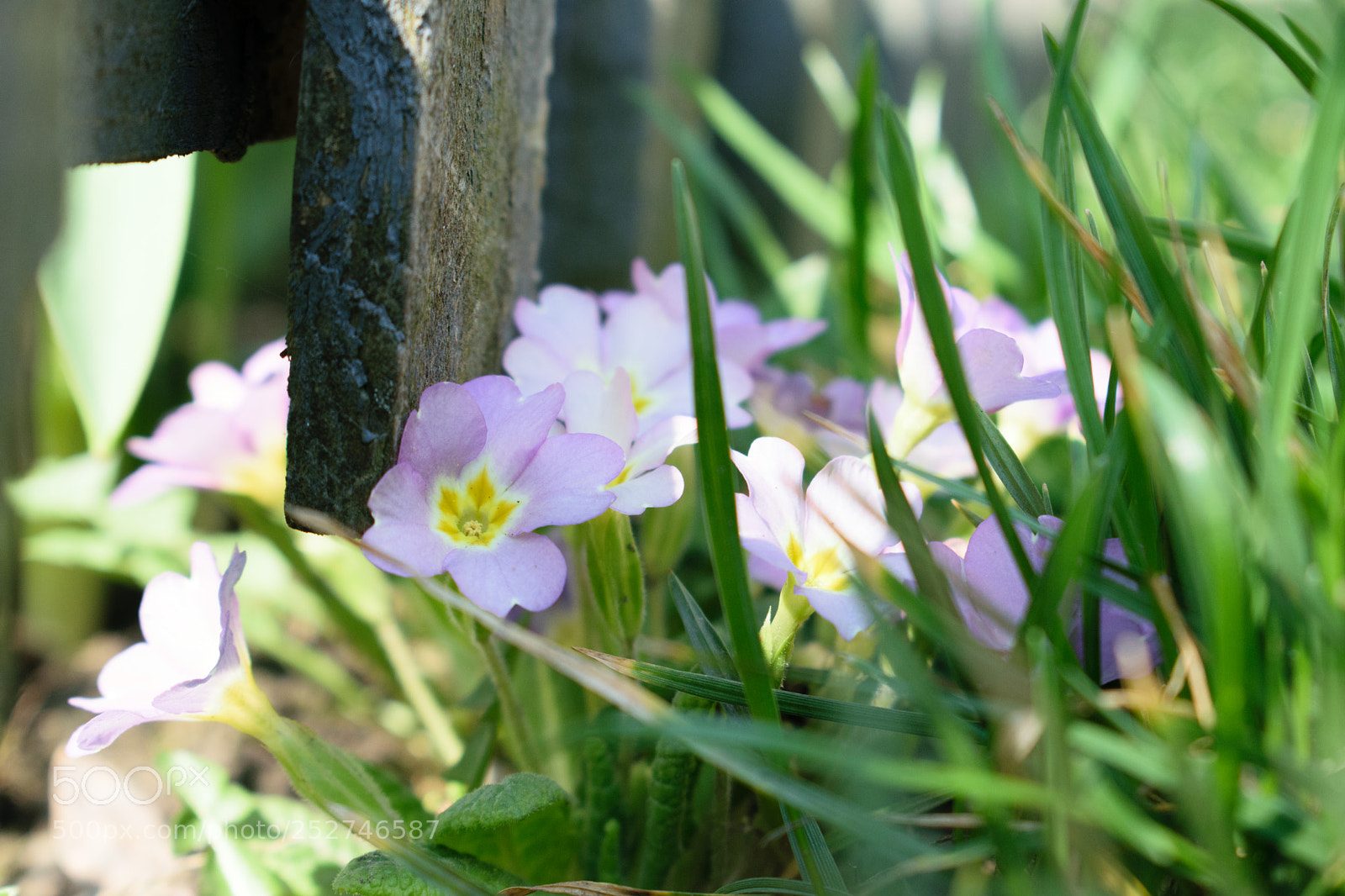 Nikon D5300 sample photo. :) :) :) photography
