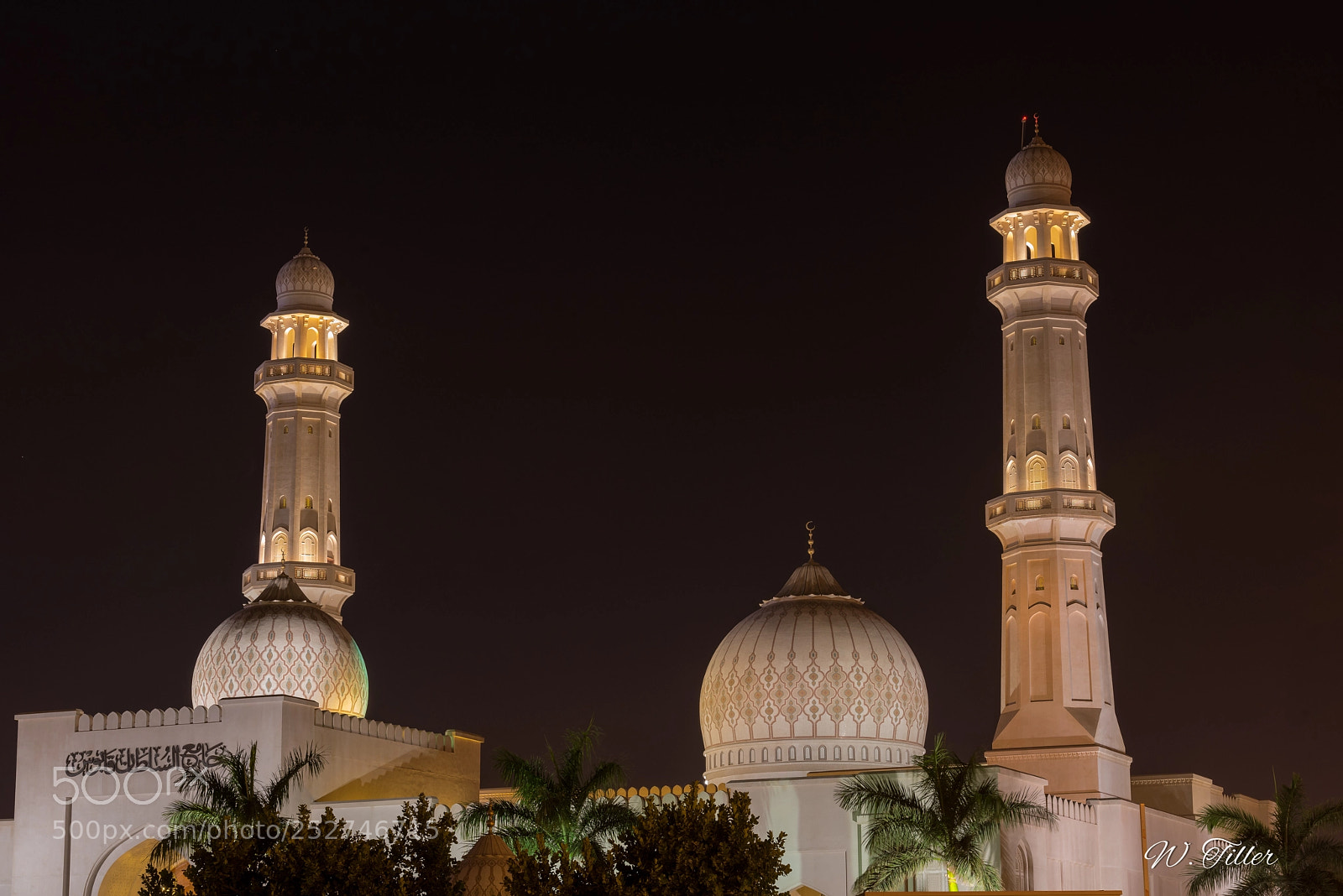 Nikon D810 sample photo. Sultan qaboos mosque photography