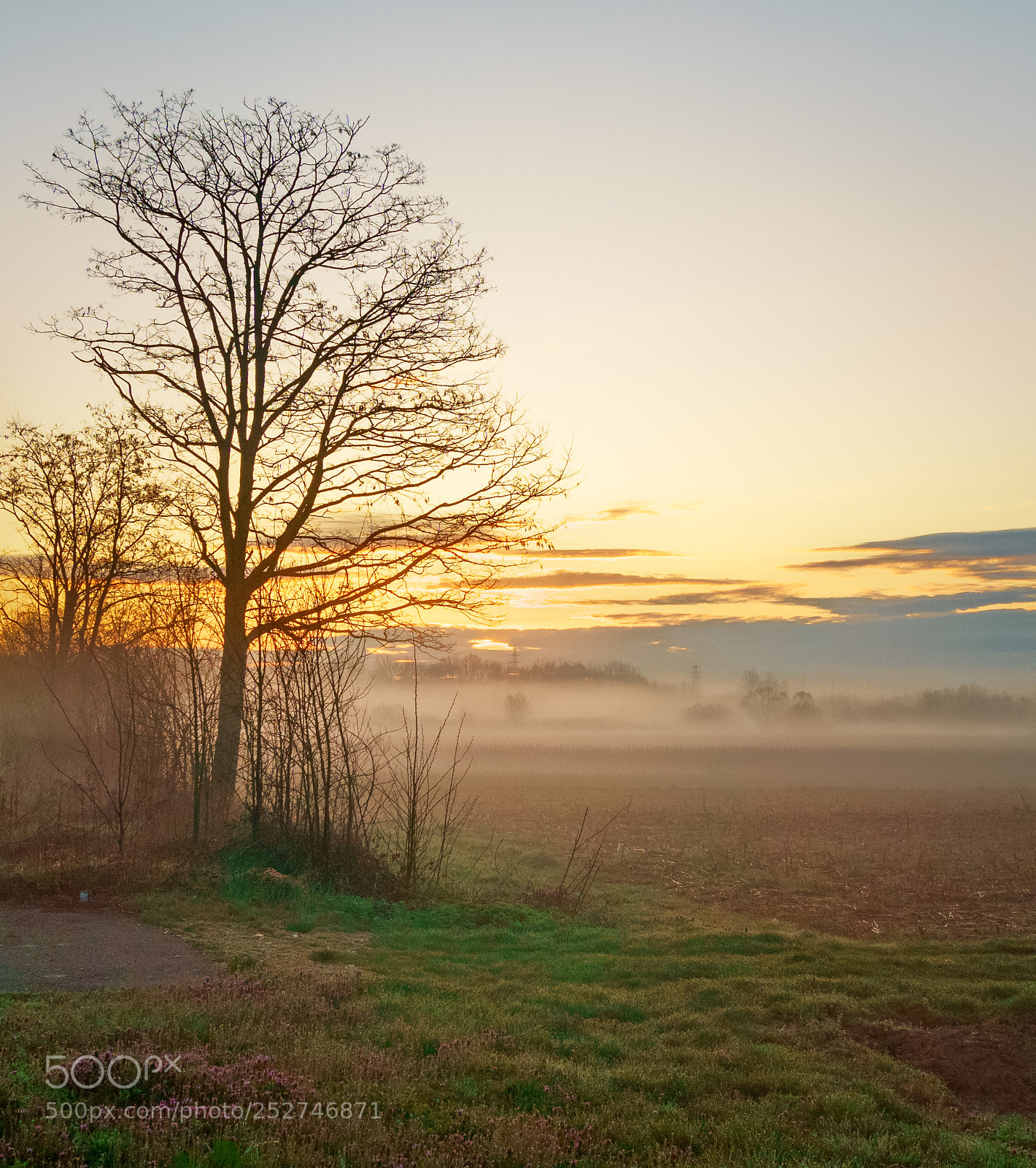Sony a6000 sample photo. Early morning sunrise photography