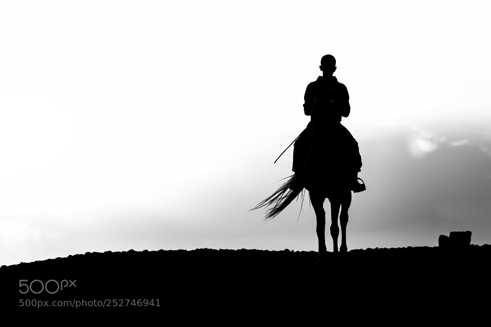 Canon EOS 7D sample photo. A horse photography