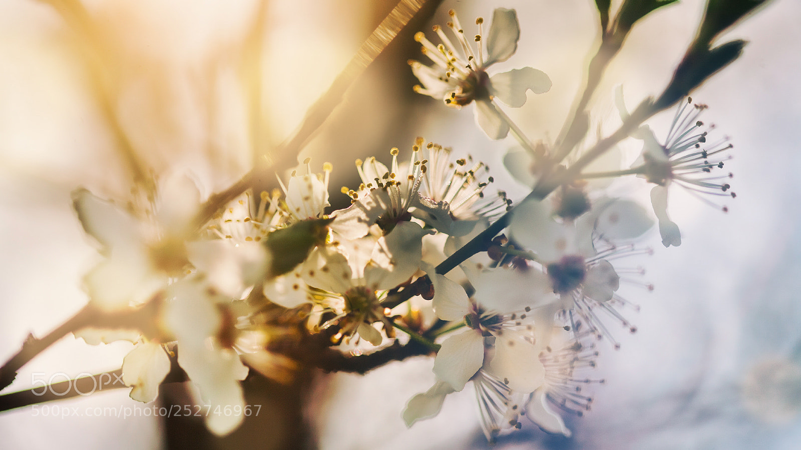 Canon EOS 5D sample photo. - photography