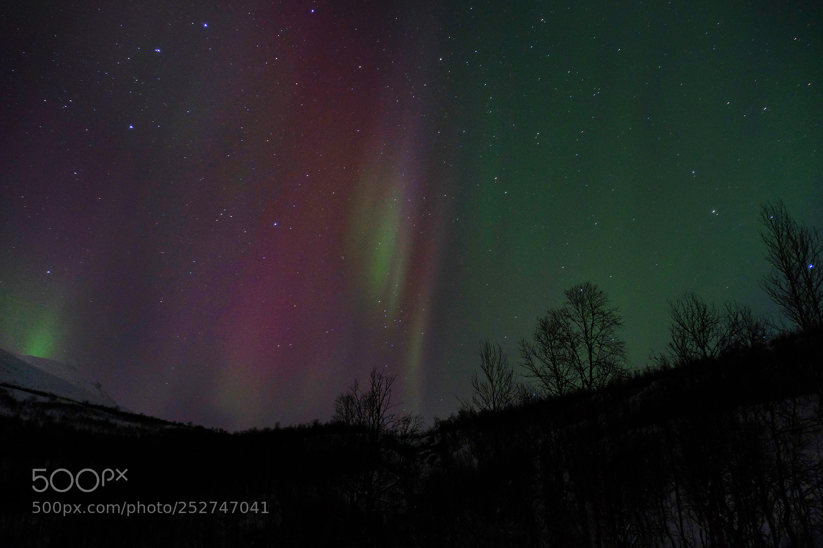 Fujifilm X-T1 sample photo. Taken in tromsø, norway photography