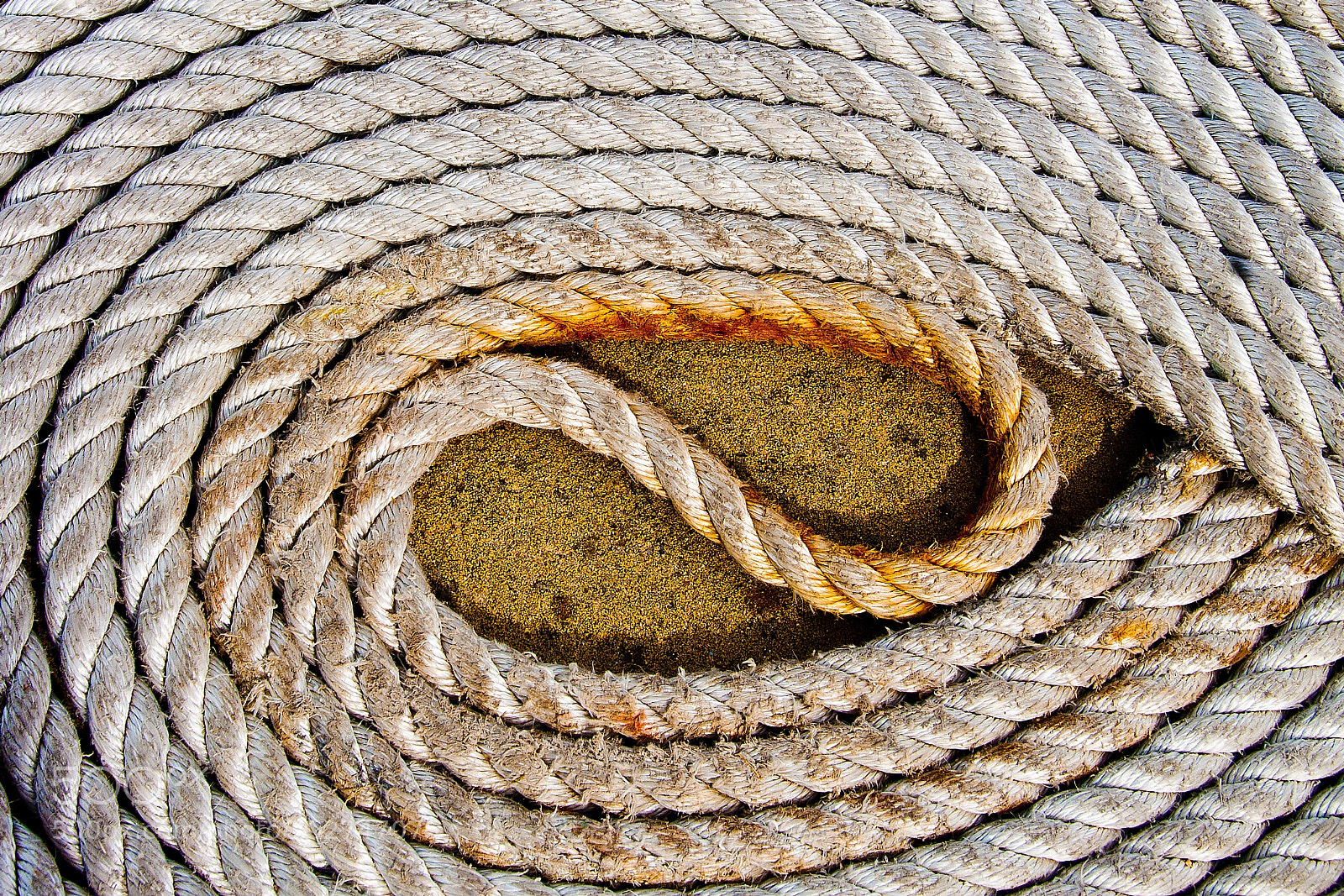 Nikon D300 sample photo. Maritime rope photography