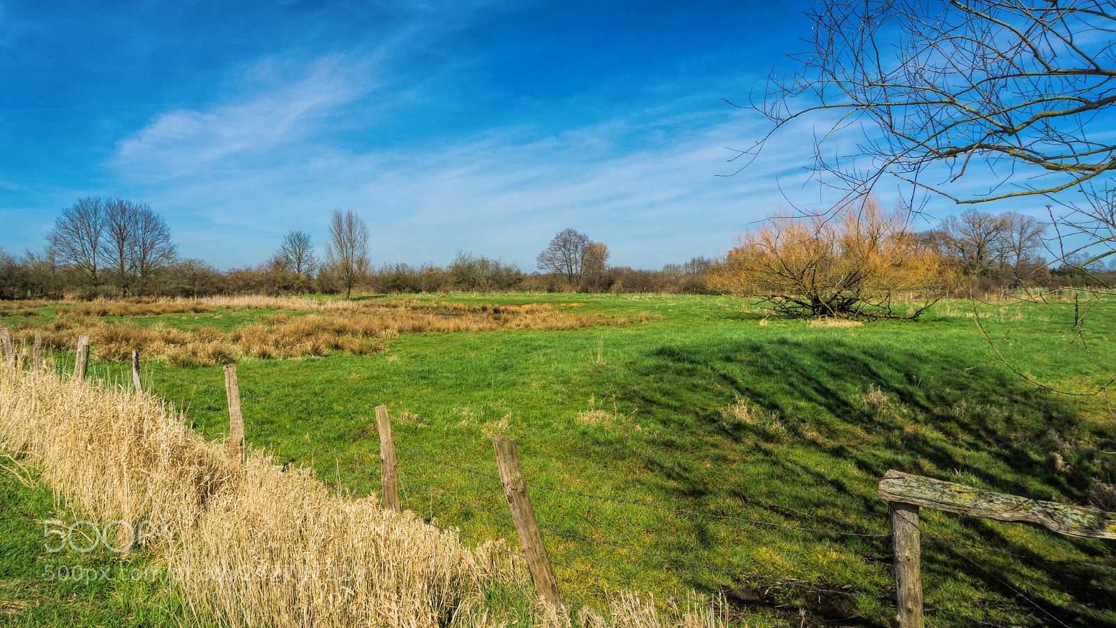 Sony a6000 sample photo. Grassland photography