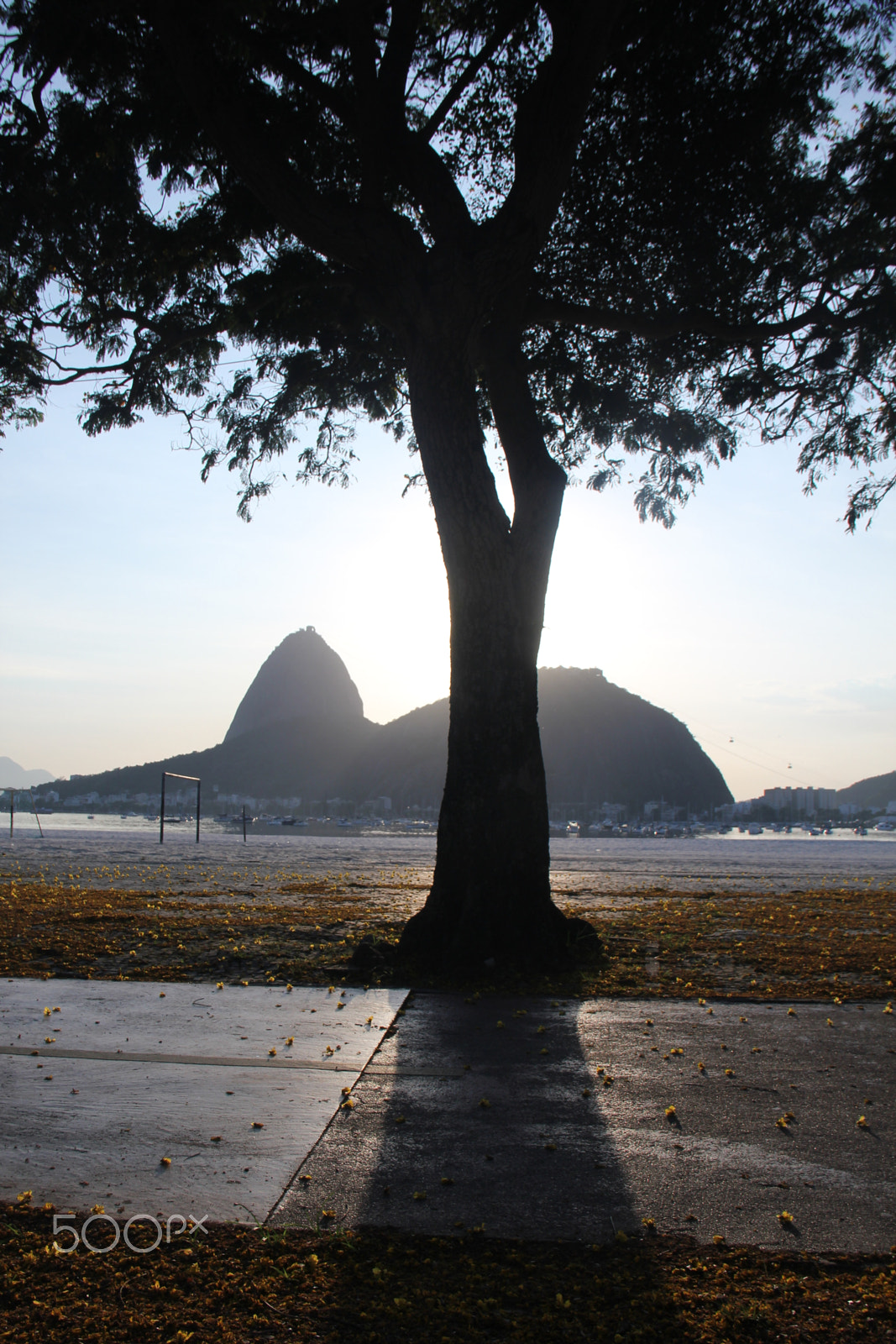 Canon EOS 550D (EOS Rebel T2i / EOS Kiss X4) sample photo. Another one of the sugar loaf photography