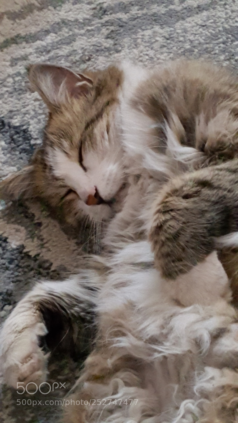 Samsung GALAXY S6 edge sample photo. Tamara: innocent photography