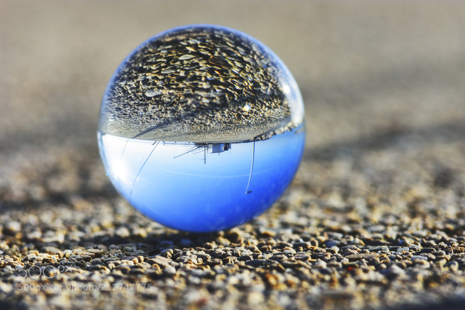 Nikon D7200 sample photo. Joy photography