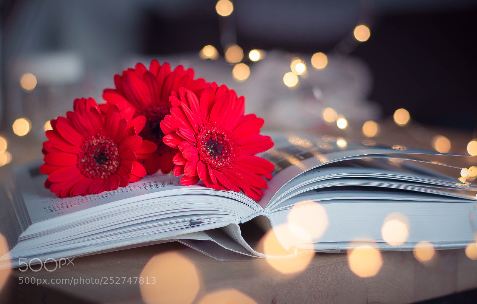 Canon EOS 100D (EOS Rebel SL1 / EOS Kiss X7) sample photo. Bokeh mood! photography