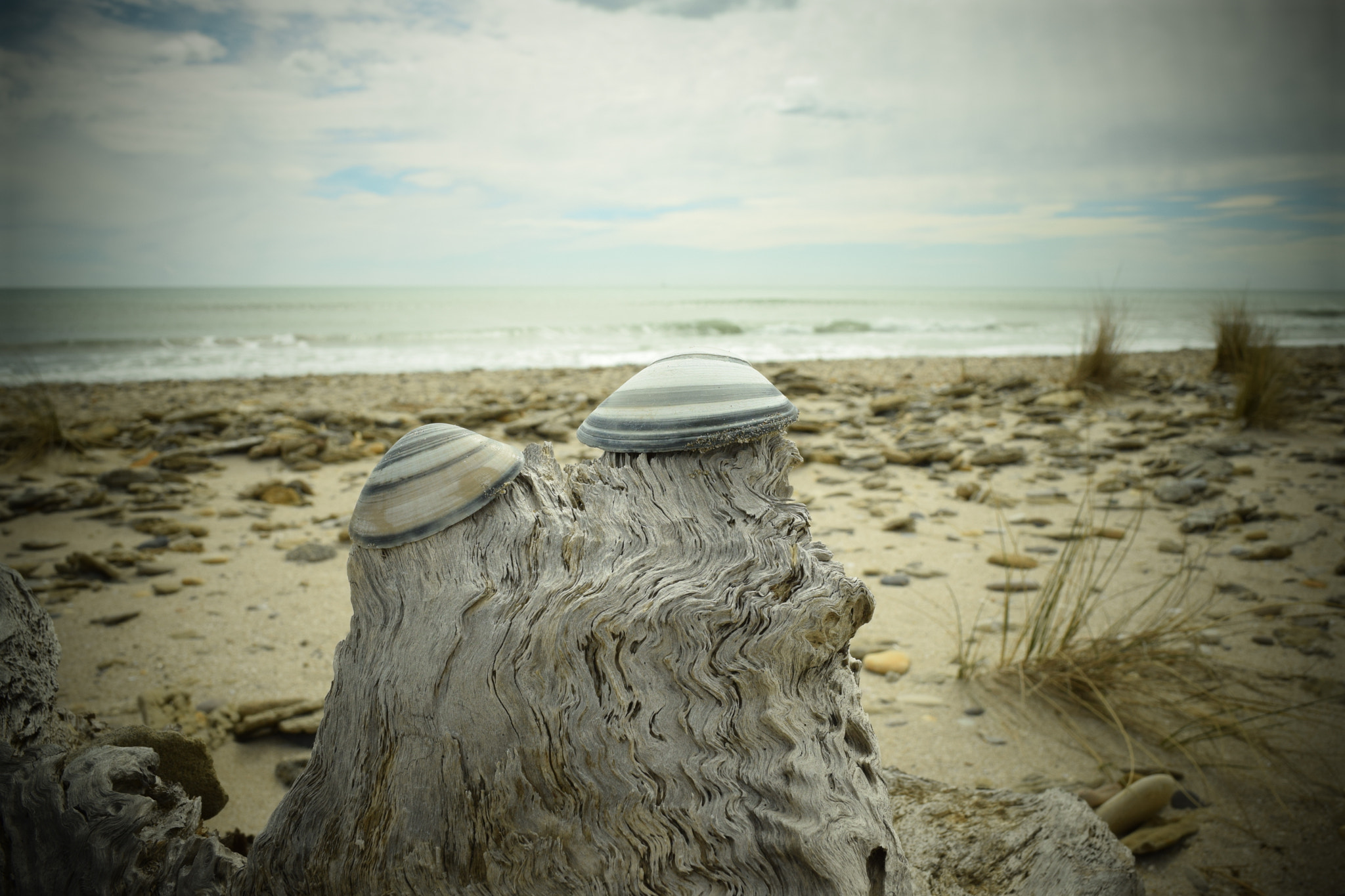 Nikon D5300 sample photo. Beach04 photography