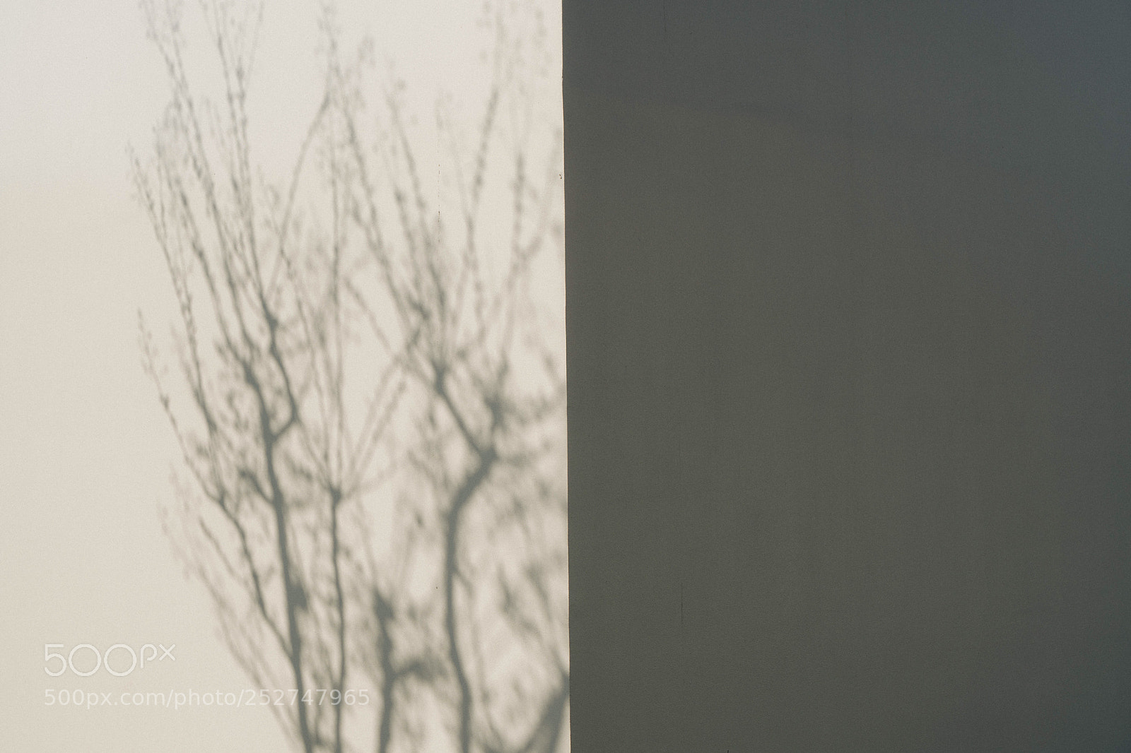 Sony a6500 sample photo. The shadow of the photography