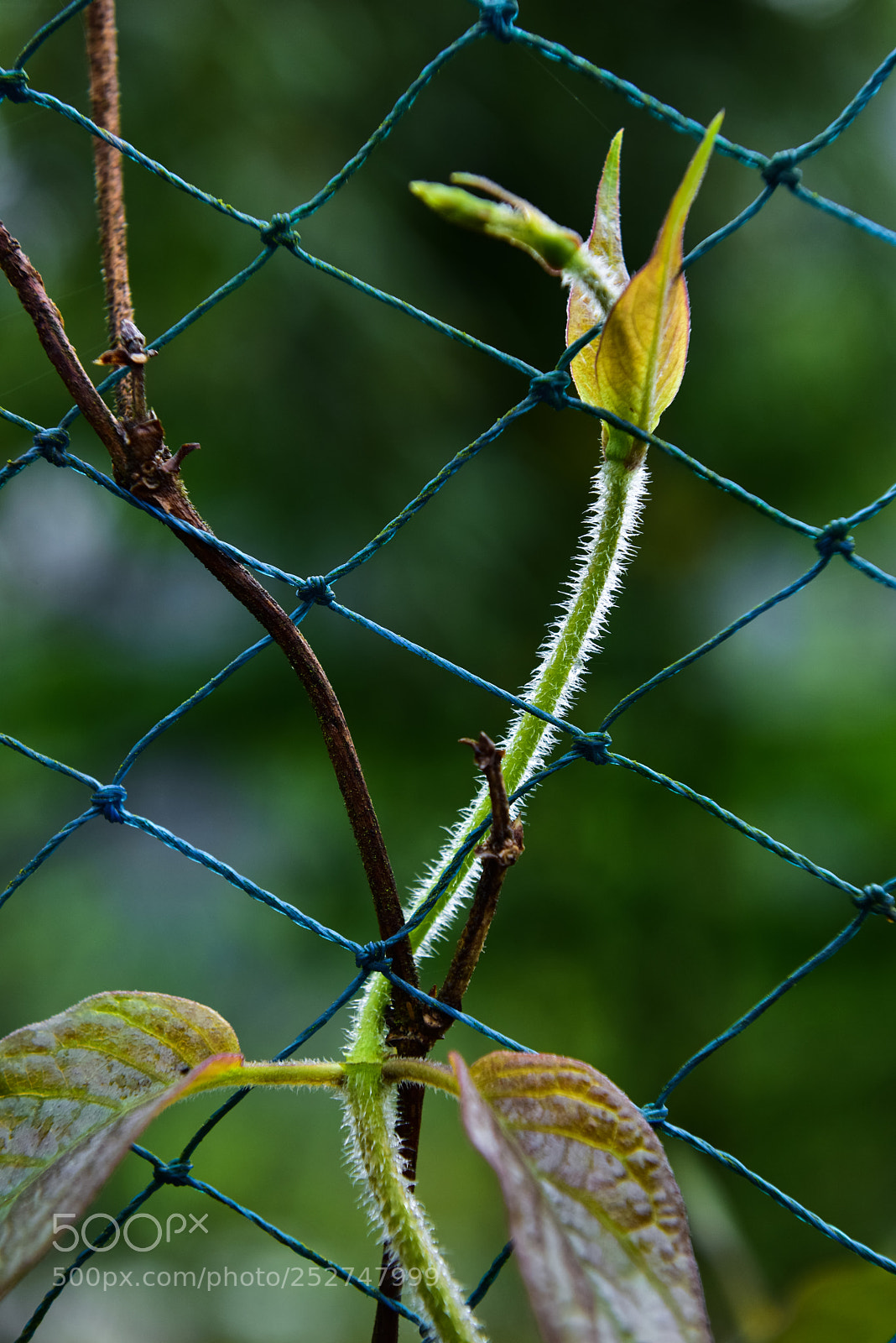 Nikon D810 sample photo. Untitled photography