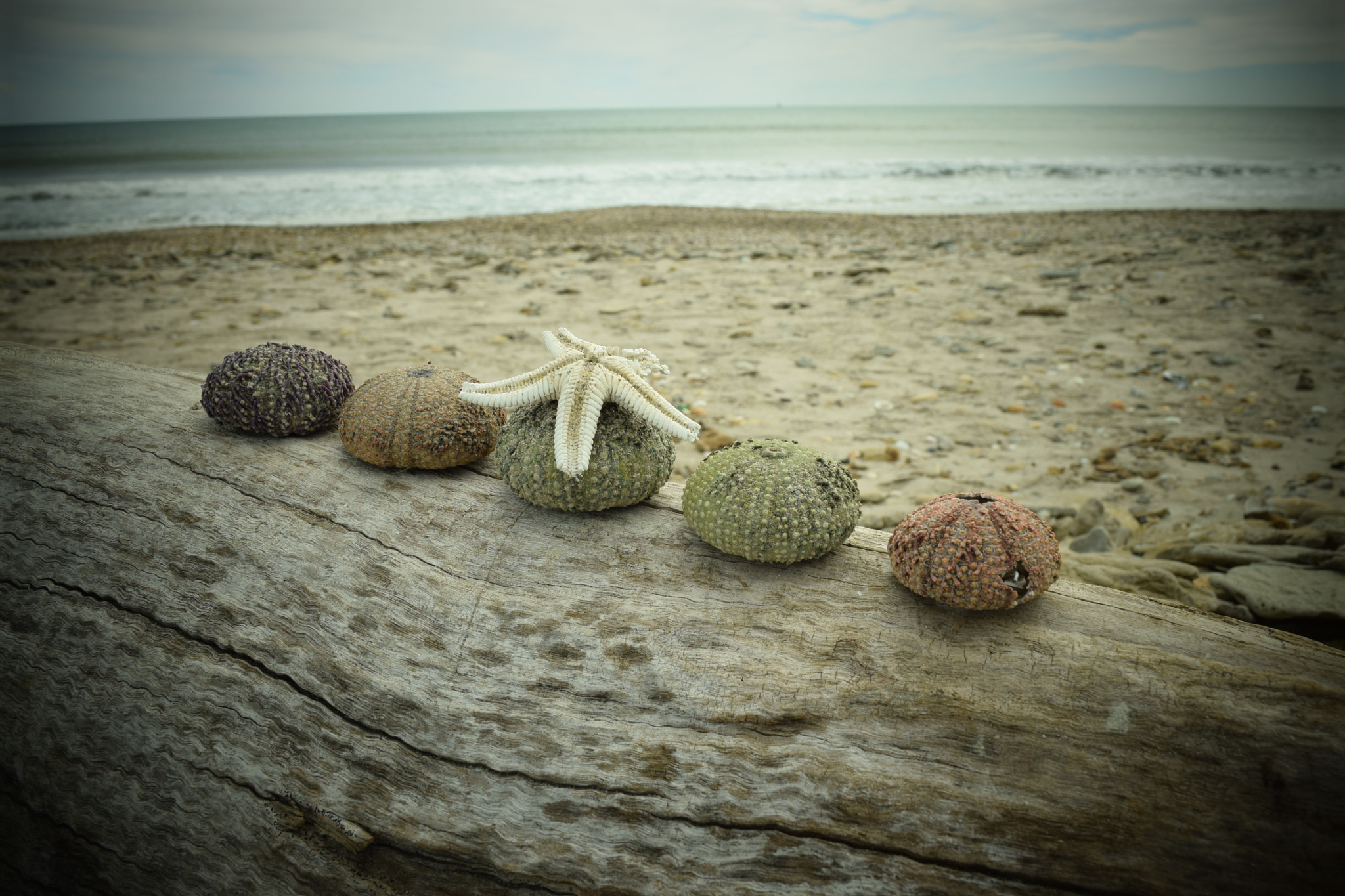 Nikon D5300 sample photo. Beach05 photography