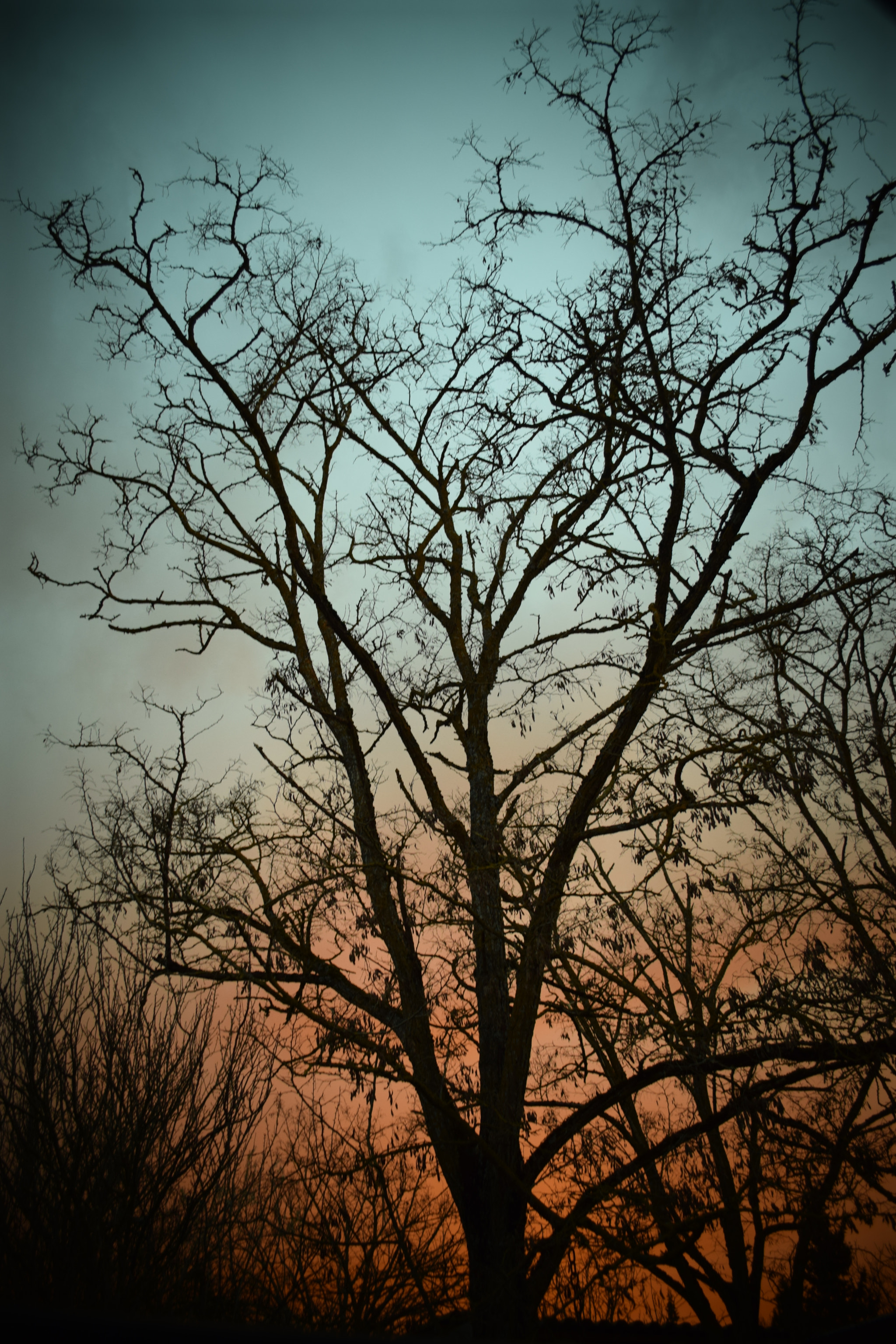 Nikon D5300 sample photo. Sky evening photography
